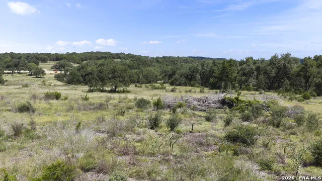 227 Mitchell Dr Spring Branch, TX 78070