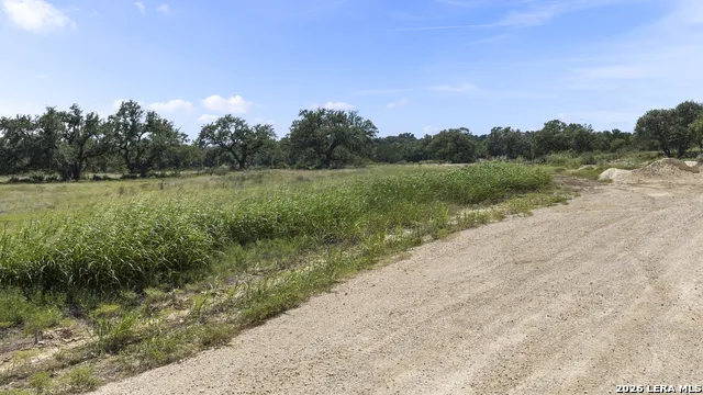 227 Mitchell Dr Spring Branch, TX 78070