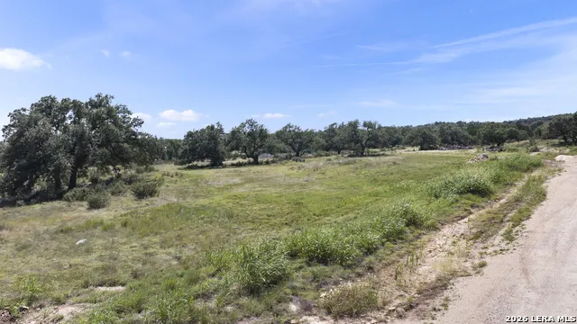 227 Mitchell Dr Spring Branch, TX 78070