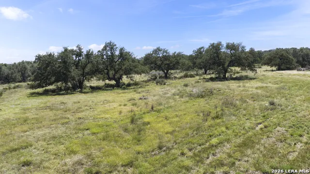 227 Mitchell Dr Spring Branch, TX 78070