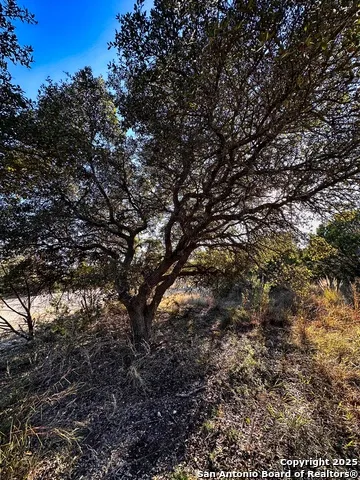 628 Indian Trail Spring Branch, TX 78070