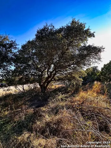 628 Indian Trail Spring Branch, TX 78070