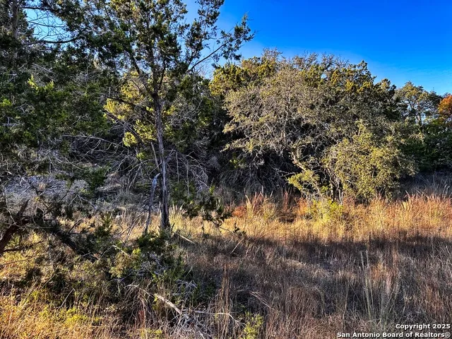 628 Indian Trail Spring Branch, TX 78070