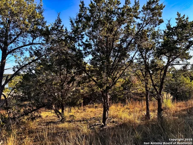 628 Indian Trail Spring Branch, TX 78070