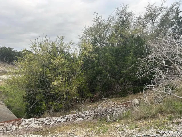 863 Private Road 1742 Mico, TX 78056