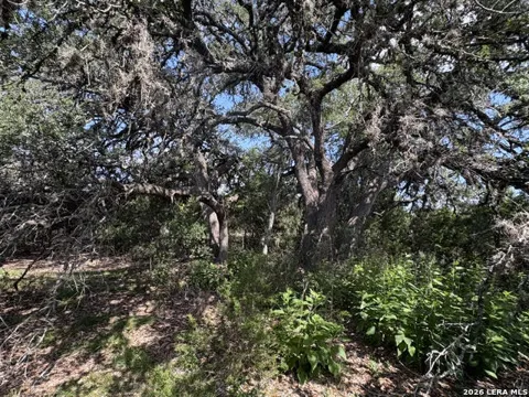 LOT 2025 Split Ridge