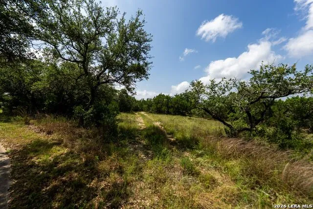 1016 Monteola Bulverde, TX 78163