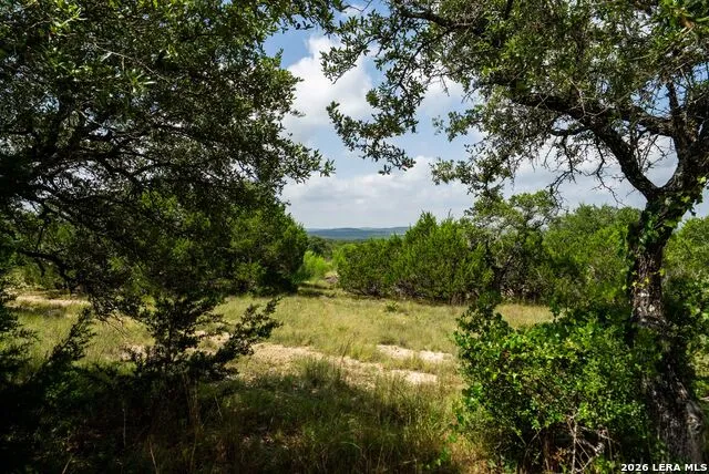1016 Monteola Bulverde, TX 78163