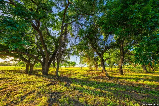 3841 W US HIGHWAY 290 Fredericksburg, TX 78624