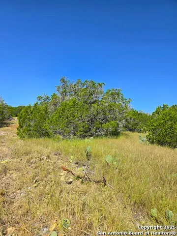 227 Mitchell Ranch Road Camp Wood, TX 78833
