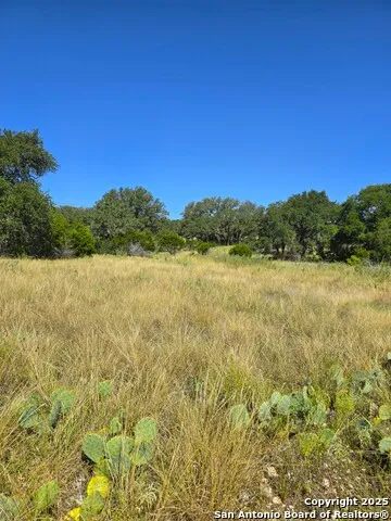 227 Mitchell Ranch Road Camp Wood, TX 78833
