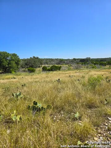 227 Mitchell Ranch Road Camp Wood, TX 78833