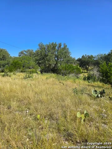 227 Mitchell Ranch Road Camp Wood, TX 78833