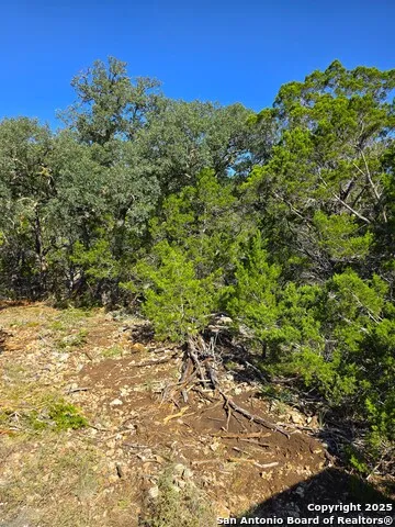 227 Mitchell Ranch Road Camp Wood, TX 78833