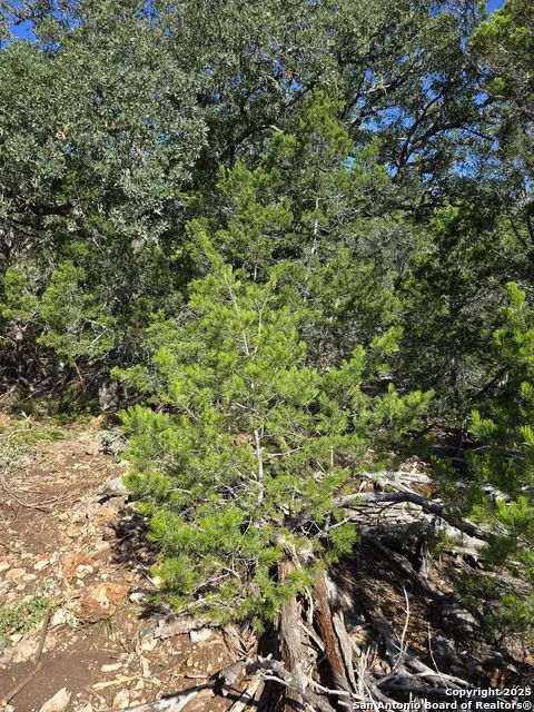 227 Mitchell Ranch Road Camp Wood, TX 78833