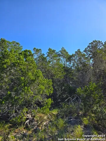 227 Mitchell Ranch Road Camp Wood, TX 78833