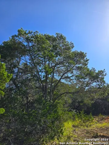 227 Mitchell Ranch Road Camp Wood, TX 78833