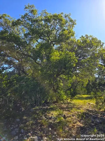 227 Mitchell Ranch Road Camp Wood, TX 78833