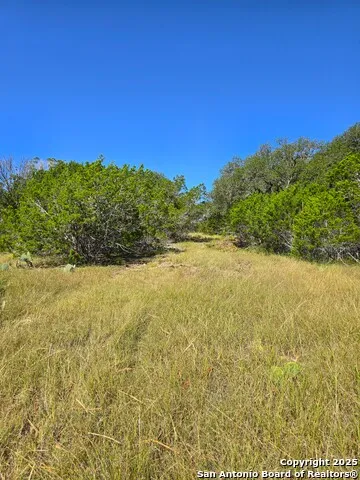 227 Mitchell Ranch Road Camp Wood, TX 78833
