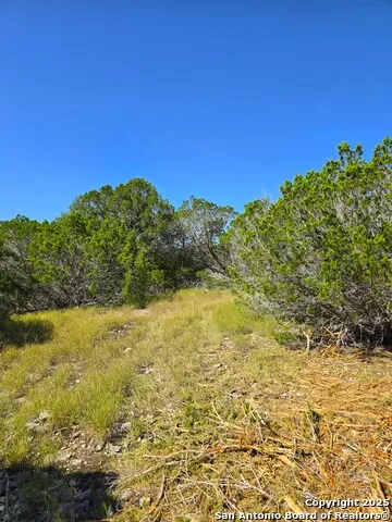 227 Mitchell Ranch Road Camp Wood, TX 78833