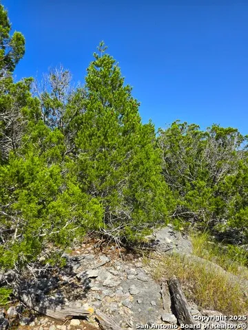 227 Mitchell Ranch Road Camp Wood, TX 78833