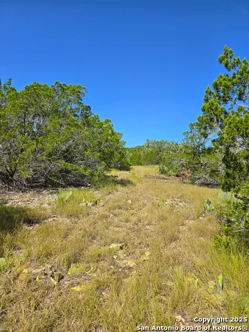 227 Mitchell Ranch Road Camp Wood, TX 78833