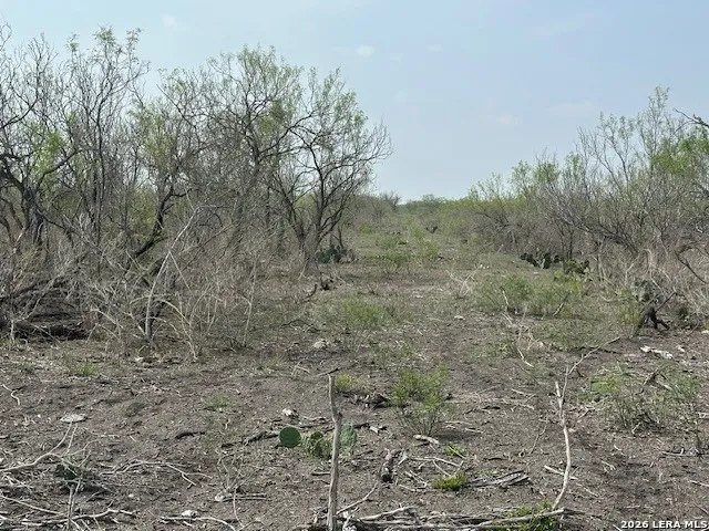 306 Cr 305 Tilden, TX 78072