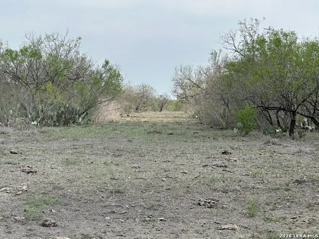 306 Cr 305 Tilden, TX 78072