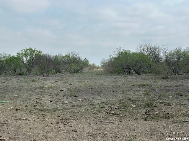 306 Cr 305 Tilden, TX 78072