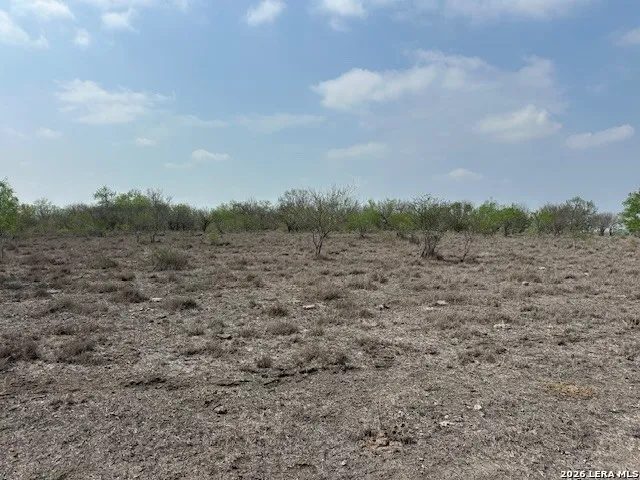 306 Cr 305 Tilden, TX 78072