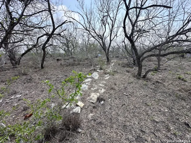 306 Cr 305 Tilden, TX 78072
