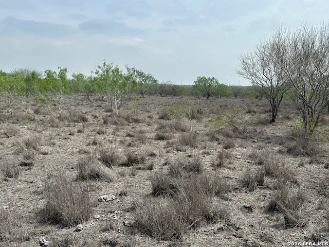 306 Cr 305 Tilden, TX 78072