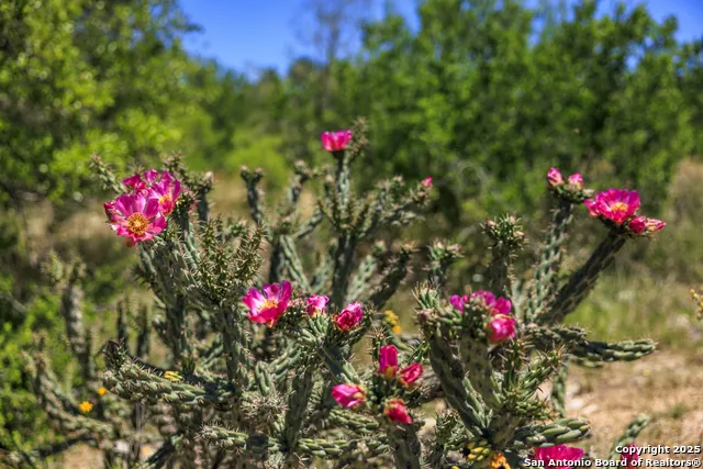 256 Persimmon Point Mason, TX 76856