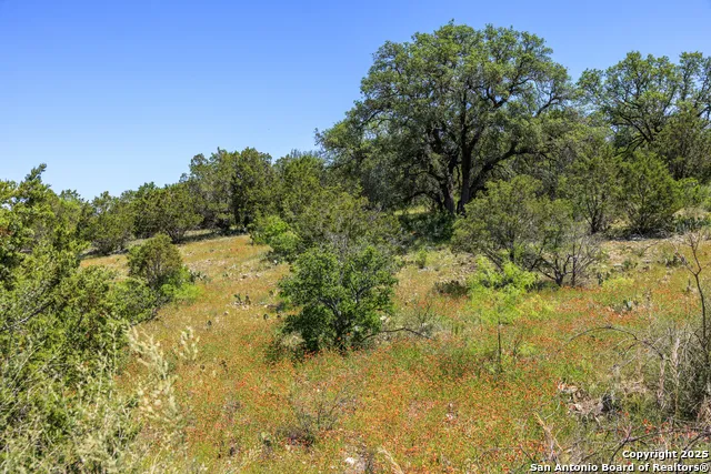 256 Persimmon Point Mason, TX 76856