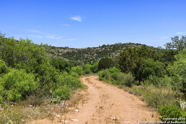 256 Persimmon Point Mason, TX 76856