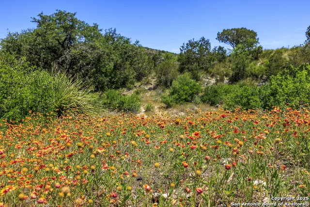 256 Persimmon Point Mason, TX 76856