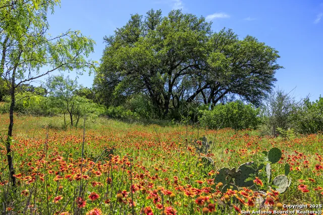 256 Persimmon Point Mason, TX 76856