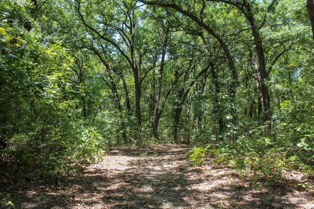 3820 ROAD Weleetka, OK 74880