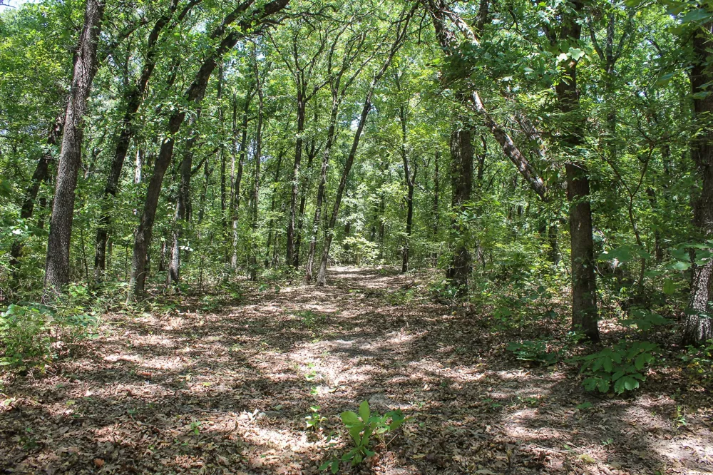 3820 ROAD Weleetka, OK 74880