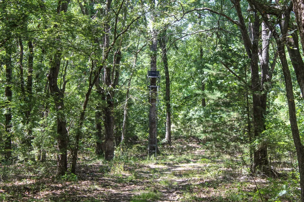 3820 ROAD Weleetka, OK 74880