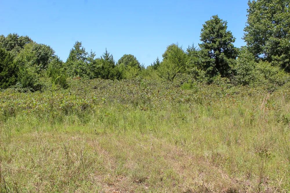 3820 ROAD Weleetka, OK 74880