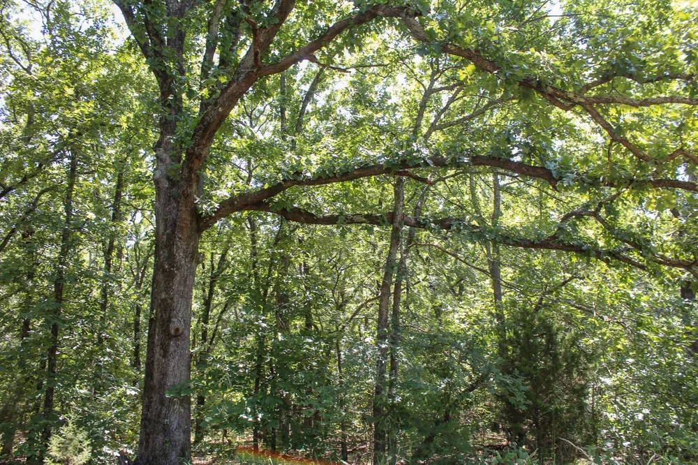 3820 ROAD Weleetka, OK 74880