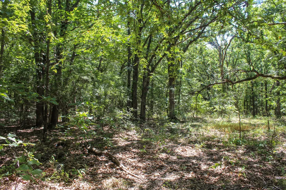 3820 ROAD Weleetka, OK 74880