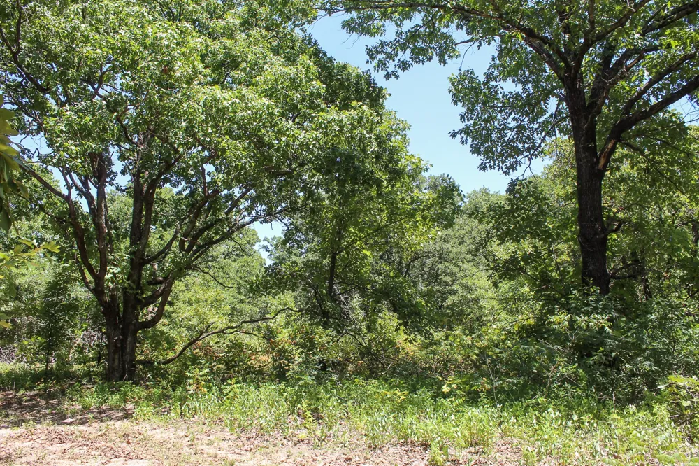 3820 ROAD Weleetka, OK 74880