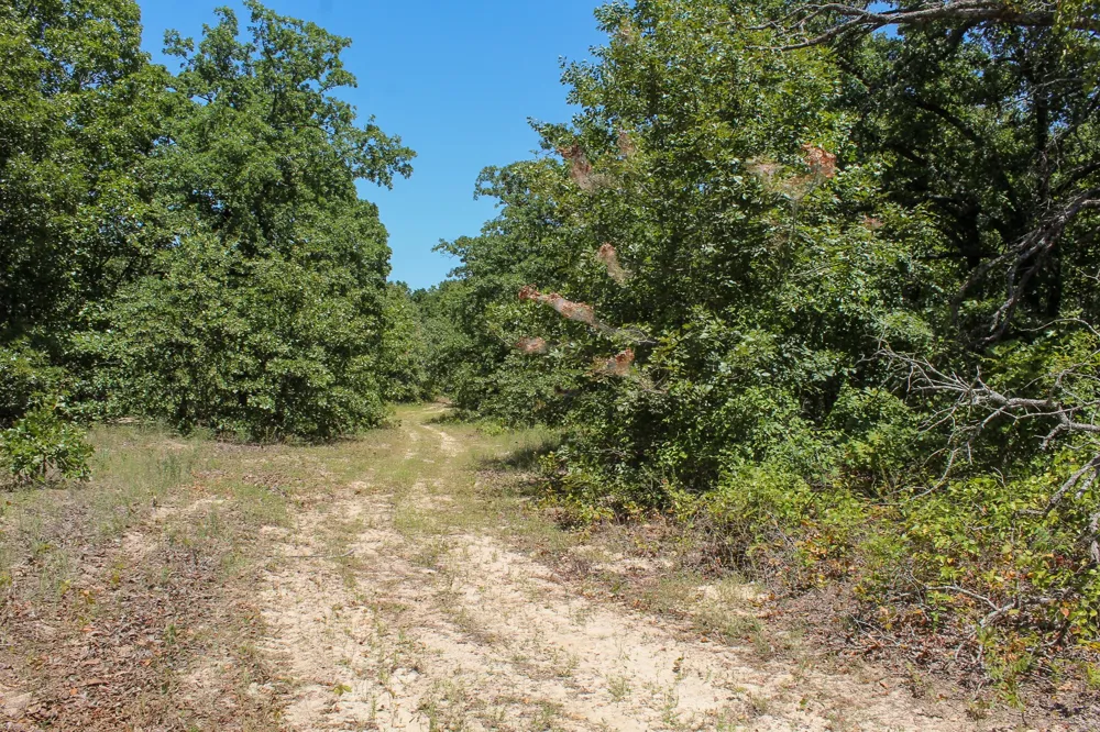 3820 ROAD Weleetka, OK 74880