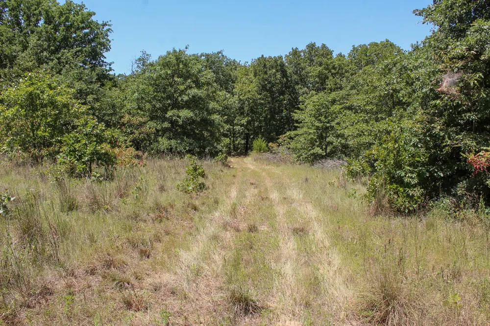3820 ROAD Weleetka, OK 74880