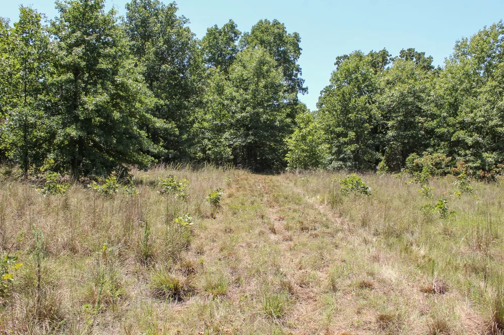 3820 ROAD Weleetka, OK 74880