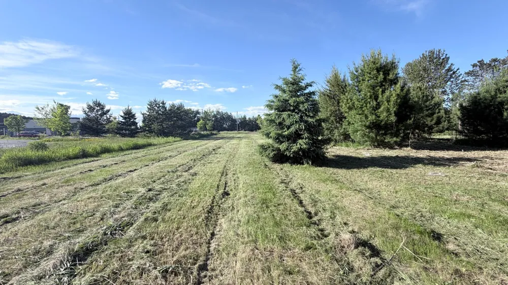 TBD Tall Pine Lane Cloquet, MN 55720