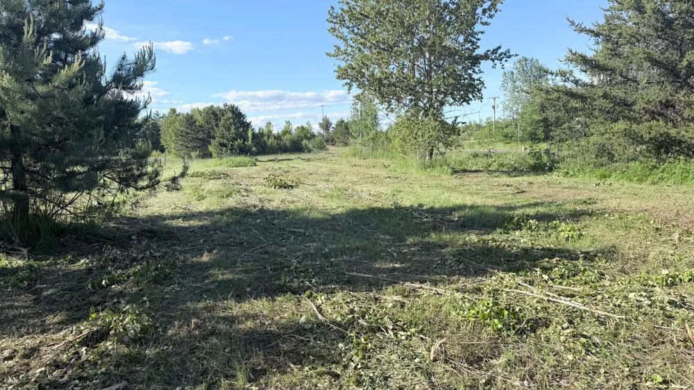 TBD Tall Pine Lane Cloquet, MN 55720