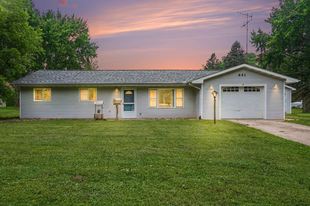441 Moccasin Street Buchanan, MI 49107